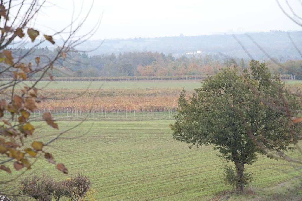 Agriturismo Il Vecchio Portico Francavilla Bisio Εξωτερικό φωτογραφία